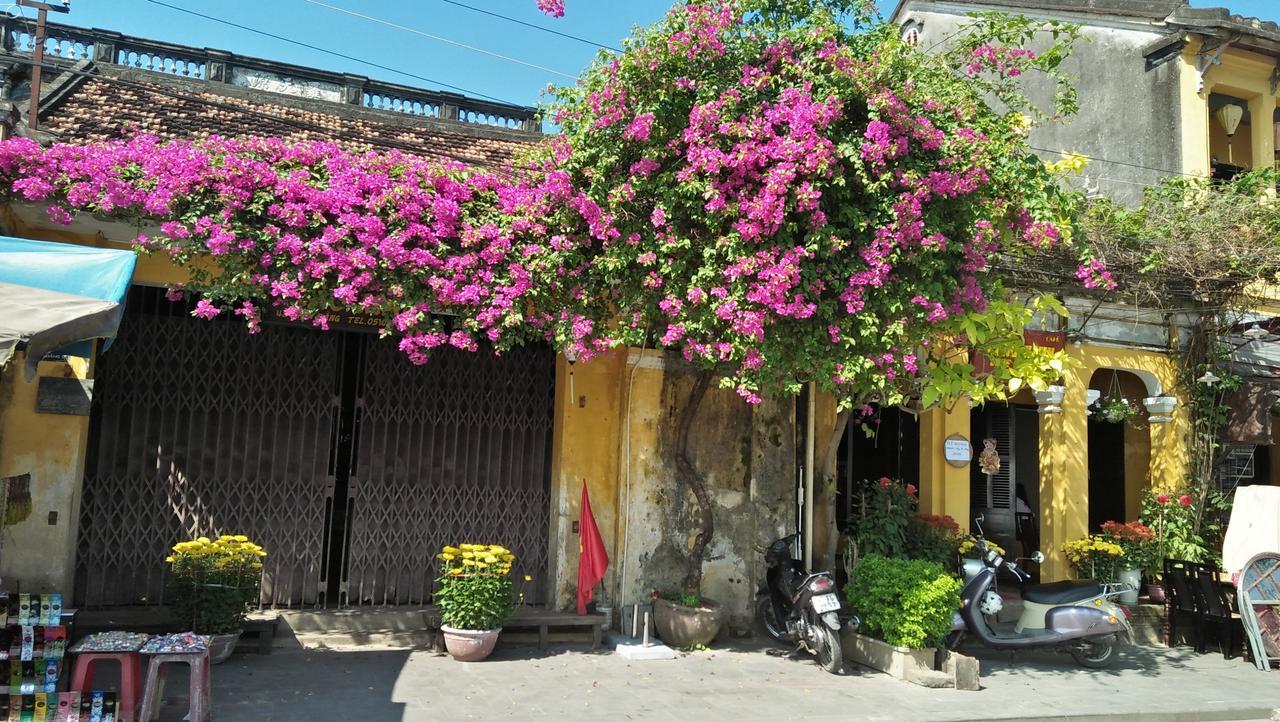 Bach Dang Hoi An Hotel Εξωτερικό φωτογραφία